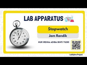 How to Use a Stopwatch