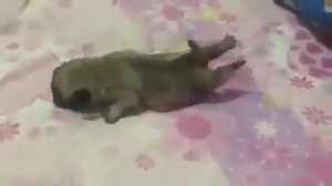 Back to study we go.. | StudentCard