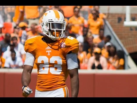 Ultimate Cameron Sutton Highlights HD "Playmaker Cam"