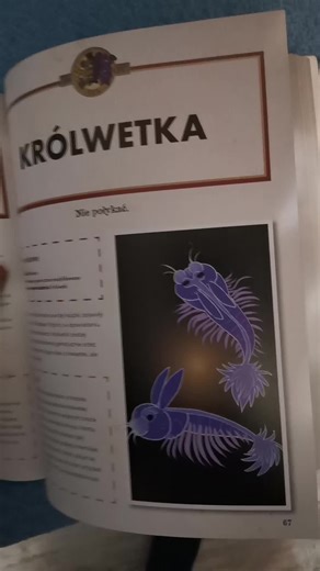 Filmy użytkownika O oholera czy to cica (@spring__trap__1993) z muzyką original sound - ☆ Audios ☆