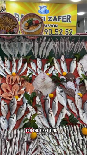 📍BALIKÇI ZAFER📍 on Instagram: "Canınız taze balikmi çekti?🐟 Hemen sipariş verin kapiniza kadar getirelim 🐟 BALIKÇI ZAFER olarak; Tazelikte, Hijyende ve Hızda iddialıyız! 💯 Yılın 365 Günü, taptaze deniz ürünlerini kapınıza getiriyoruz! Hemen arayın, lezzeti evinize taşıyalım! 👇 📞 ALO SİPARİŞ HATTI: (0212) 890 52 52 | (0532) 596 34 27 📍 Adres: Atakent Mah. Kuşlartepesi Cad. No:2/2 Halkalı - K.Çekmece / İSTANBUL"