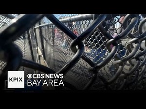 East Bay school officials preparing for potential ICE presence around schools