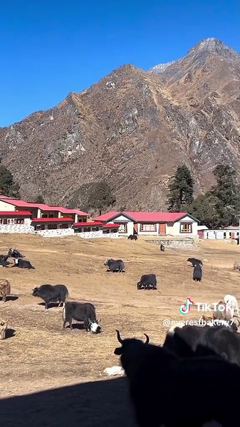 Exploring the Everest Region with Sijan & Dolma Sherpa