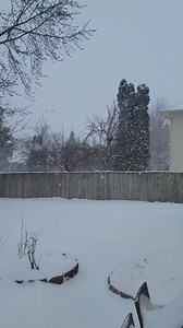 Heavy snow, with large flakes, is coming down in Cedar Rapids! This will continue to keep street slick and lower visibility through the evening commute. https://cbs2iowa.com/weather/road-conditions | Iowa's News Now