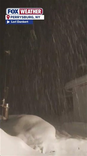 Thundersnow In Perrysburg, New York, Amid Winter Storm