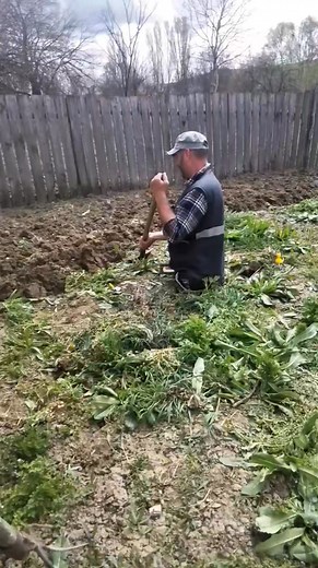 425K views · 8.1K reactions | Respect și multă sănătate  | Sarbatorile Vin | Facebook