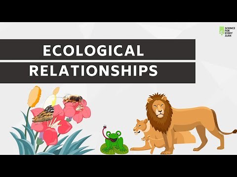 Ecological Relationships | Mutualism | Commensalism | Predation | Parasitism | Competition
