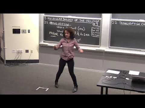 9. Chromatin Remodeling and Splicing