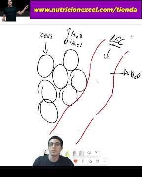 Qué sucede cuando perdemos líquidos en sudor