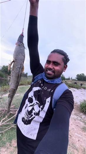 🐸 #fishing #fish #fishcatching Best Fishing 🎣 #fish Sort video ￼ pura video dekho click ￼ now