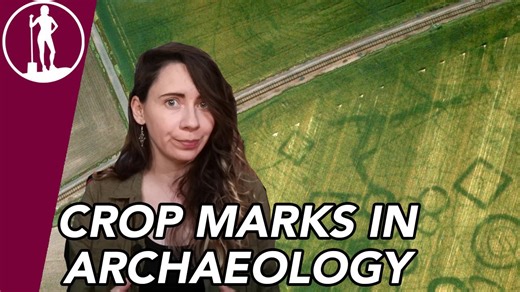 Crop Marks in Archaeology | Archaeology Basics