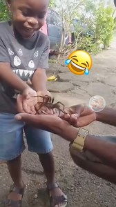 251K views · 6.8K reactions | Pure comedy gold!  Curious toddlers...