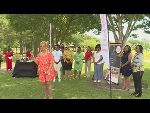 Finalists chosen for Reddix Rules: Business owners grant for Black women