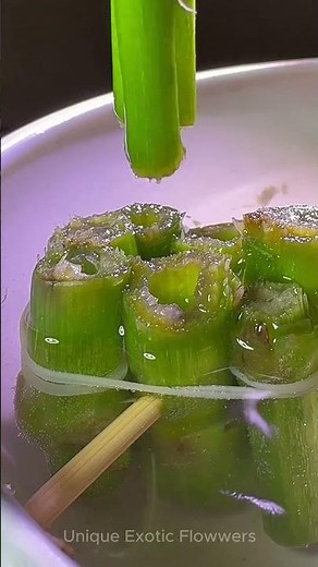 Elegant Dahlia Flower Arrangement - Easy DIY Guide for Any Space