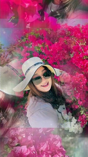 #ครูเฟื่องฟ้า 🌸🍃 #ดอกเฟื่องฟ้า🌸🍃