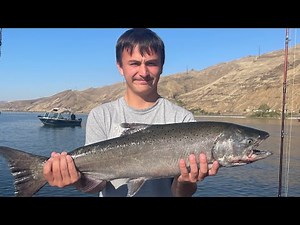 Clearwater and Snake Fall Chinook and Steelhead Report 9/24/25: Keep Fishing Hard!