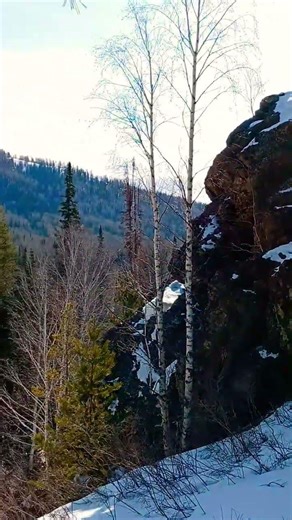 16 марта 2026 г.