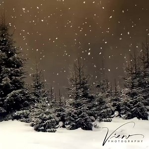 31 reactions · 13 comments | Merry Christmas from view photography 壟 | View-Photography | Facebook