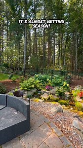 20K views · 259 reactions | Fall means leaves, and if you’ve got a...