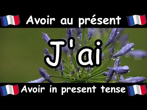 AVOIR (To Have) Conjugation Song - Present Tense - French Conjugation - Le Verbe AVOIR