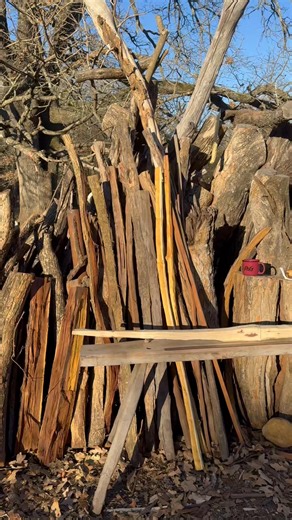 New Year’s Eve and a look around the wood pile at some Texas hickory bow and fast country breakfast, coffee with zucchini bread | Bois DArc Kingdom