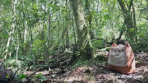 The first minute of Ana B's latest video for Ersties!