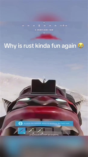 The Pain of Playing Majority Solo in Rust Console