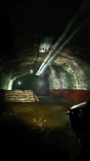 Decade Later Still the BEST Zombie Coop Game Ever Made 12