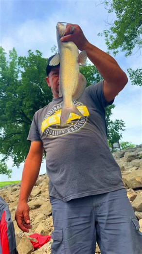 Catfish Fishing Adventures in Carlyle