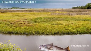 You must c C reate an account to continue watching