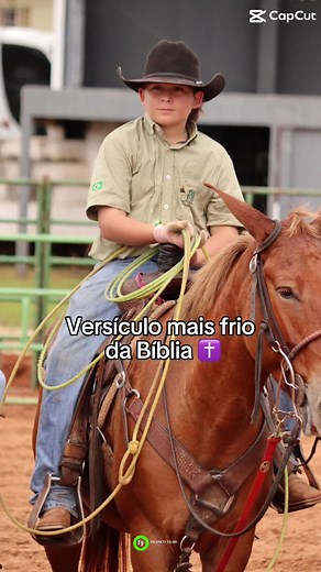 First Time Horse Riding in Brazil: A Personal Journey