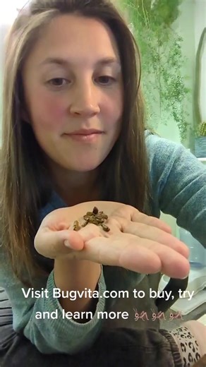 Crickets are the sustainable future of protein 🦗🦗🦗 Raising insects for meat uses about half as much land as is used for chicken, for example. . . . . . . #eatcrickets #eatingbugs #insectfood #insectprotein #edibleinsects #guthealthmatters #guthealth #gutbrainconnection #sustainableagriculture #sustainableprotein #sustainablegifts #sustainableeating #ukentrepreneur #businessideas #alternativeprotein #entomophagy #prebiotics #B12deficiency #b12 #fibre #food #foodie #snacks #healthysnacks