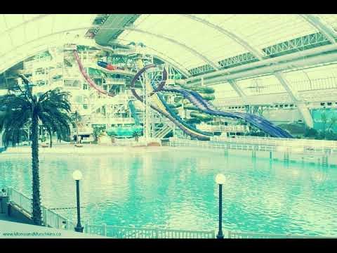 🌊 Reflecting Retail 🌊 Waterpark Mallsoft - Signalwave - Slushwave Music Mix 🌊