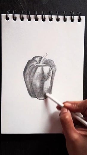 Object Drawing | Shading