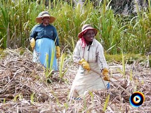 Krapo Kriye by Grup Latanier