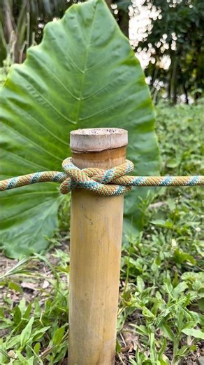 Simple Clove Hitch Knot for Beginners #shorts