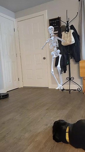 Just a little Halloween time dancing with my friend Skelly. 🤣👻🎃#halloween