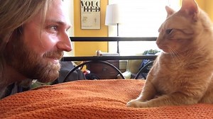 73K views · 577 reactions | Guy Gets Revenge On Cat Who Kept Waking Him Up At 4 AM Every Morning “My cat wakes me up at 4am every morning. I repaid the favor at 4pm yesterday” Credit : https://www.youtube.com/watch?v=roUOBx8m9Yc&feature=youtu.be https://twitter.com/nikotrotsky | OneName Global | Facebook