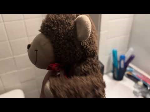 The internet connection issue!