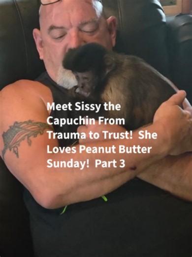 Sissy the Capuchin: From Trauma to Trust at SEMO Exotic Sanctuary