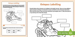 Octopus Labelling