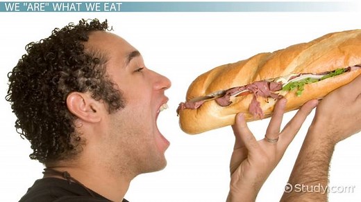 Digestive Enzymes | Definition, Types & Function