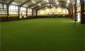 156K views · 766 reactions | Need Sports Turf for your Batting Cage,...