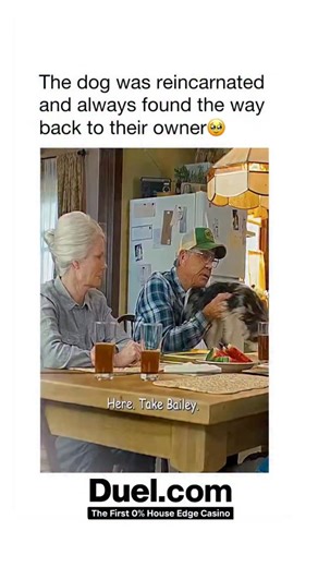 Movies ¦ Entertainment ¦ Pond on Instagram: "This movie has me bawling every time 😭💔 🎬 A Dog’s Purpose (2017) ⏳ 2h | Adventure · Comedy · Drama 💬 “Some bonds never fade… not even across lifetimes.” A loyal dog embarks on a heartwarming journey of love and purpose, reincarnating through several lives and owners over five decades. Through every wag, bark, and tearful goodbye, he learns what truly matters — the joy of being there for those you love. When he finds his way back to Ethan, his firs