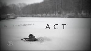 The city of Mentor has over 240 ponds, Lake Erie, and the Mentor Lagoons. They are beautiful in the winter but one missed step can mean the difference between enjoying the view and fighting for your life. The Mentor Fire Department wants to remind you that no ice is safe ice. | City of Mentor, Ohio - Municipal Government