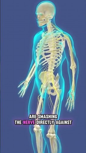 The Funny Bone Is Not A Bone human body fact #funnybone #science