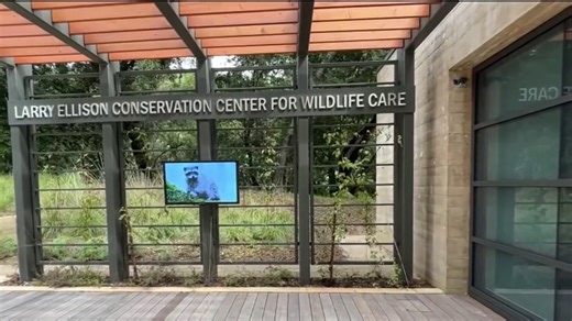 206K views · 6K reactions | A new facility that just opened in the...