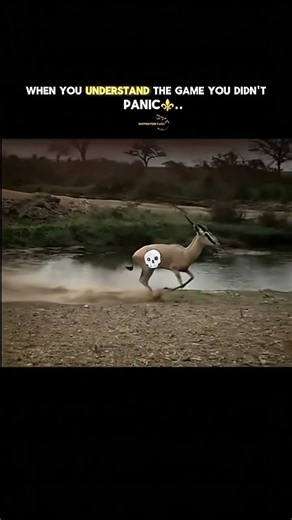 #kungfu #kungfupanda #dreamworks #oogway #kai #panda #viral #fyp #edit #shorts