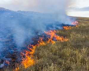 What Is Climate Risk? A Field Guide for Investors, Lenders and Regulators
