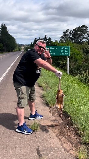 Gamesgrenal Chico Chico on Instagram: "🇺🇸 LOVE THE ANIMALS, If you can prevent the run over, please prevent it! I take off run over animals from the roads for don't cause more accidents and for their body be food for VULTURES and other SCAVENGERS animals. 🇧🇷 AMEM OS ANIMAIS, se você puder evitar o atropelamento, por favor, evite-os Eu retiro animais atropelados nas ruas para que não provocarem mais acidentes e para que possam servir de alimento para URBUBUS e outros animais NECRÓFAGOS GAMES